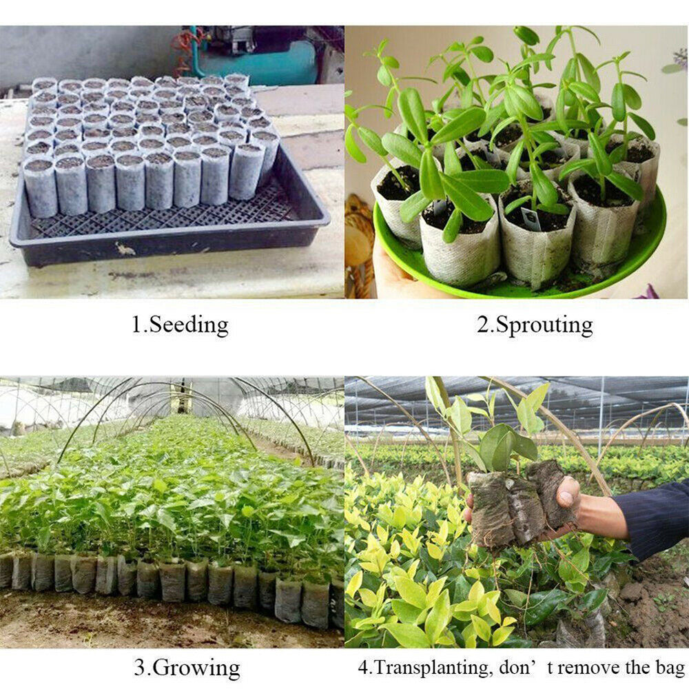 200x Non-Woven Biodegradable Grow Bags Suitable For Plant Nursery Seedling & Garden