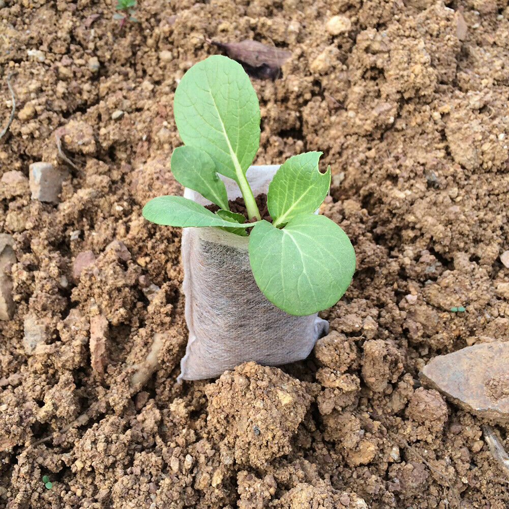 200x Non-Woven Biodegradable Grow Bags Suitable For Plant Nursery Seedling & Garden